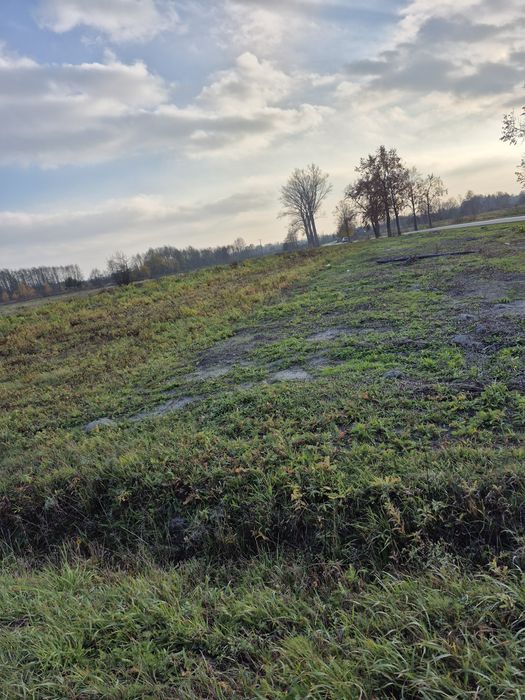 Działka rolno- budowlana  Dąbrowica