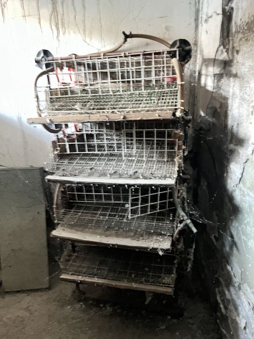 Продам клітки для перепілки