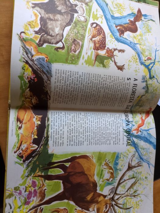 O Mundo dos Animais texto de Marcelle Vérité