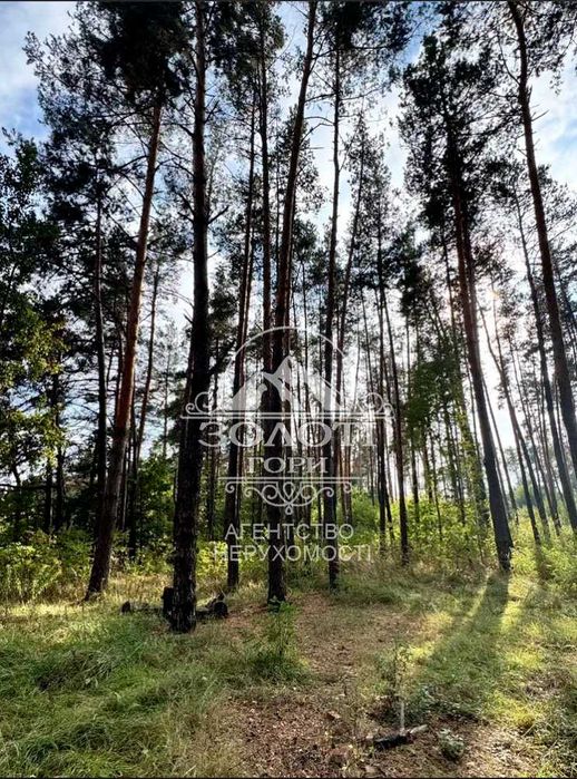 Ділянка с. Дмитрівка 24 сотки. Прокурорське містечко, під забудову