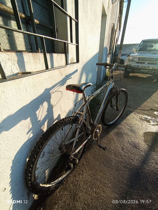 Bicicleta team F 100