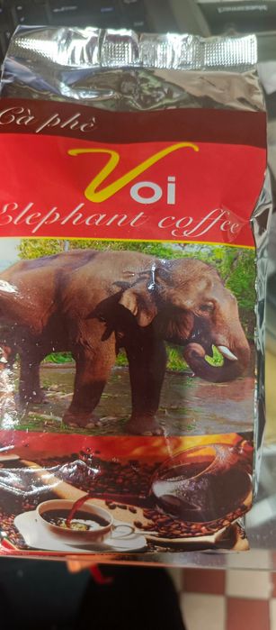 Kawa z odchodów słoni Najdroższa kawa świata
