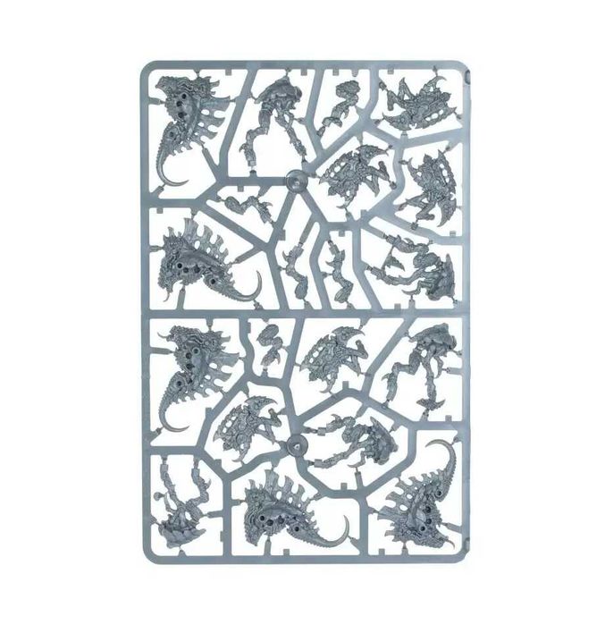 5x BARBGAUNTS Tyranids Warhammer 40k Ramki