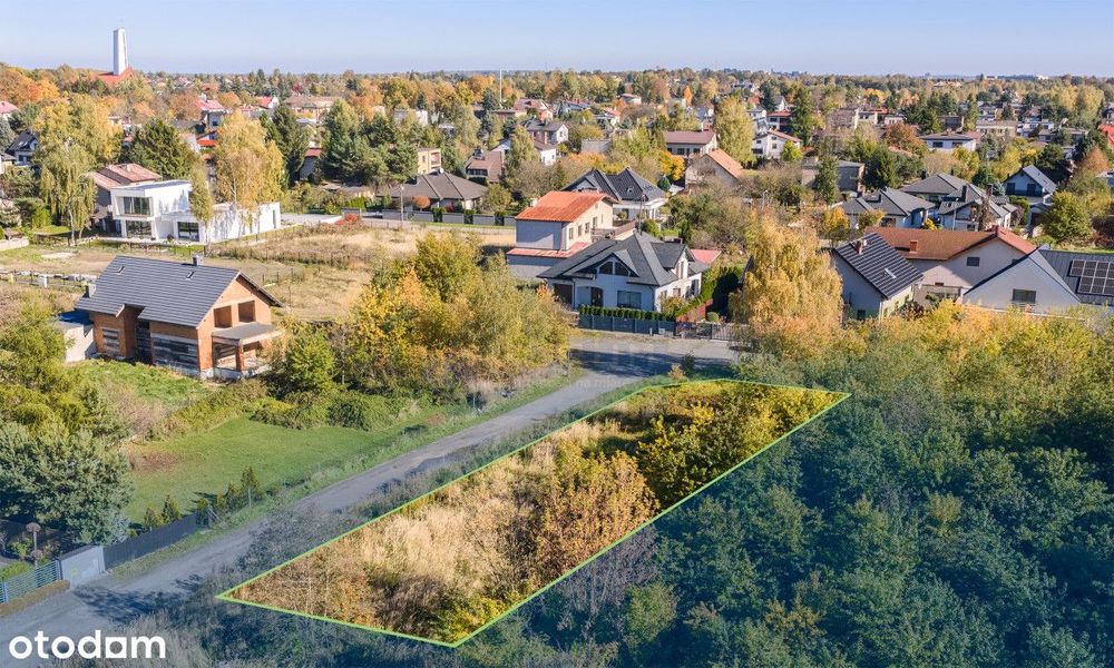 Duża działka budowlana Lisniec - Widok 2