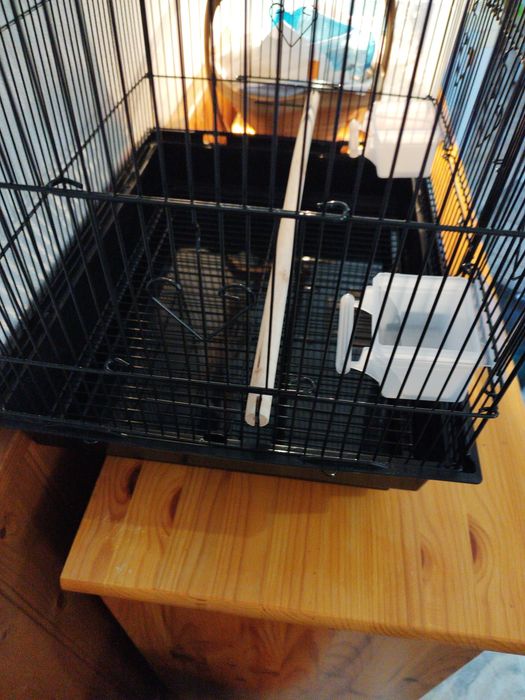 Gaiola de pássaro nova