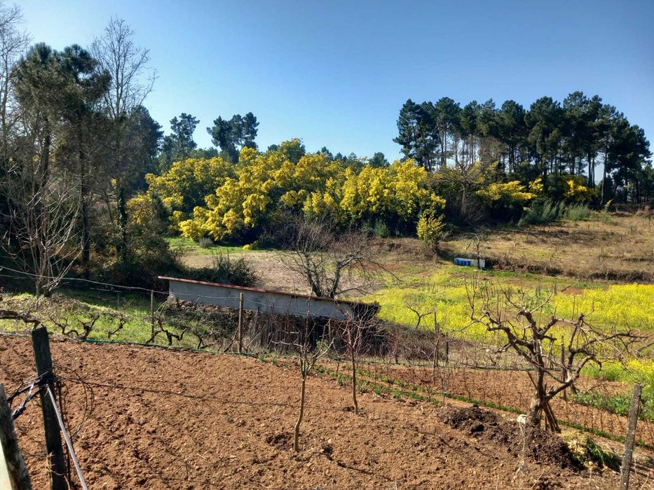 Casa Térrea C Parqueamento Privativo Vista desafogada pouca vizinhança