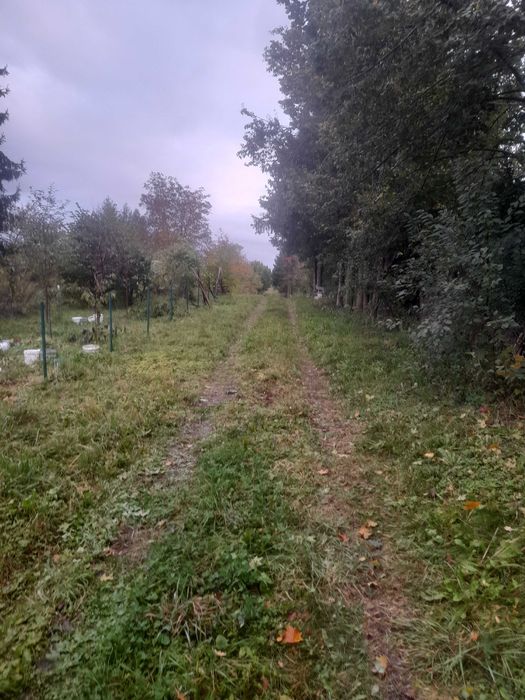 działka  unikalna z WZ ,Mazury, Narty, Brajniki, - Widok 3