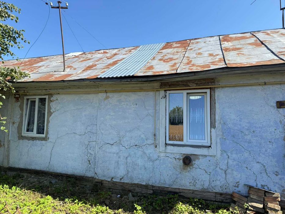 Житловий будинок та земельна ділянка 1 га., с. Товмач