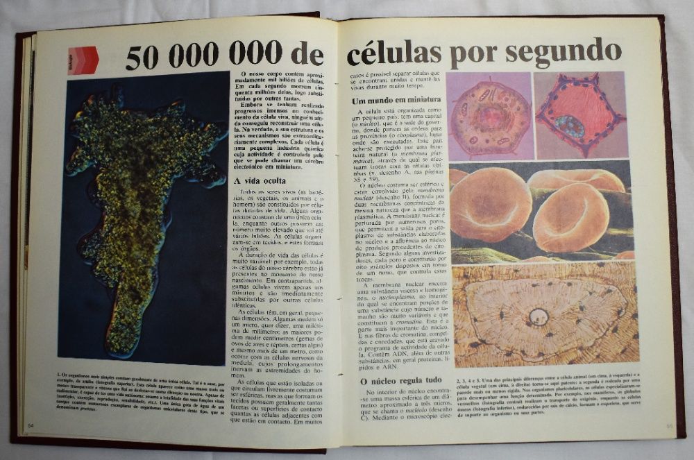 Enciclopédia Juvenil Alfa Estudante