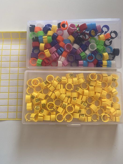 Кільця для ніг птиці