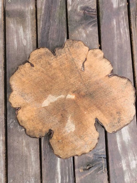 Plastry drewna 40 cm Grab