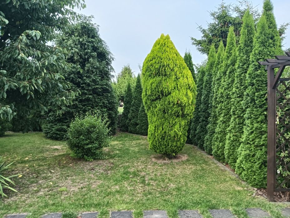 Działka Rekreacyjna Kalisz