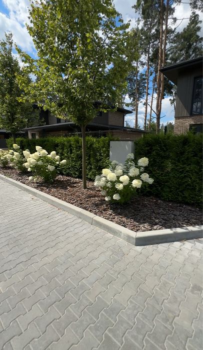 Продаж БУДИНКУ в лісовій Бучі 217 м2 10 соток закрита територія ГАЗ