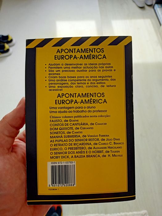 Resumo O Crime do Padre Amaro - Eça Queirós