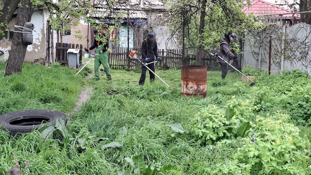 Покос травы,порослей,уборка участка,спил деревьев,вывоз