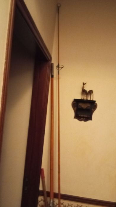 Cana de pesca sportex