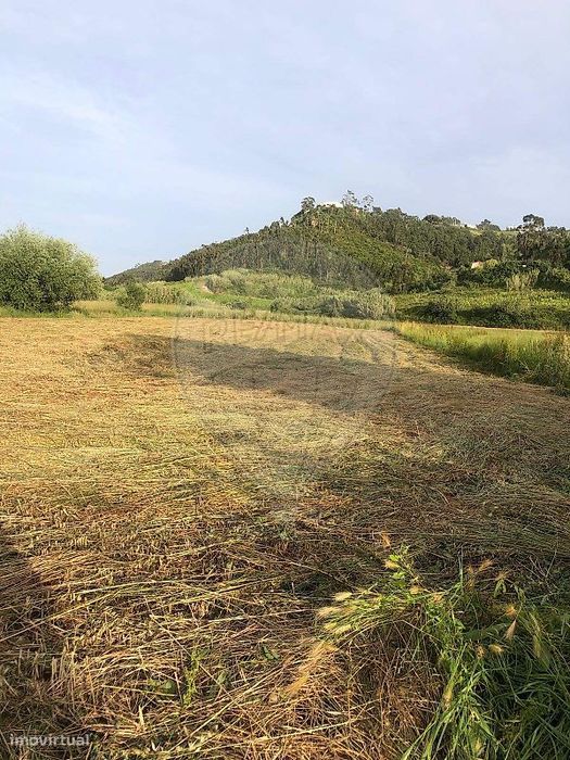 Terreno  para venda