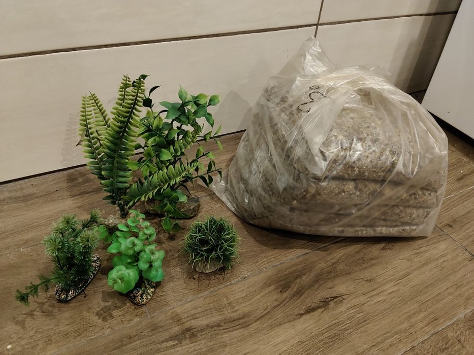 Akcesoria akwarium żwirek roślinki