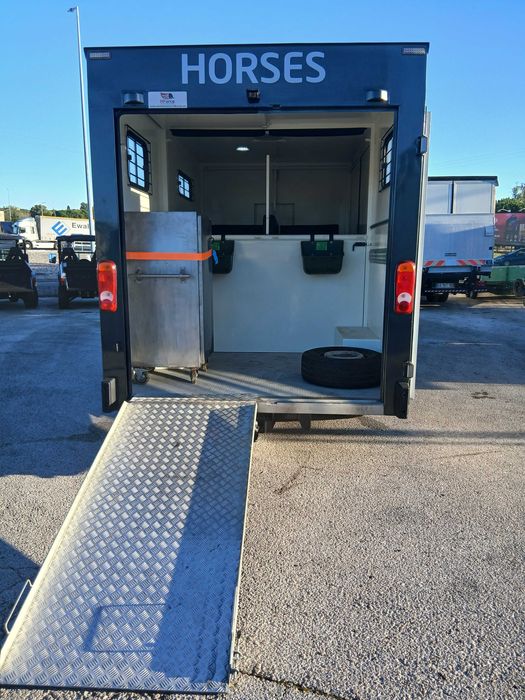 Renault Master transporte de cavalos