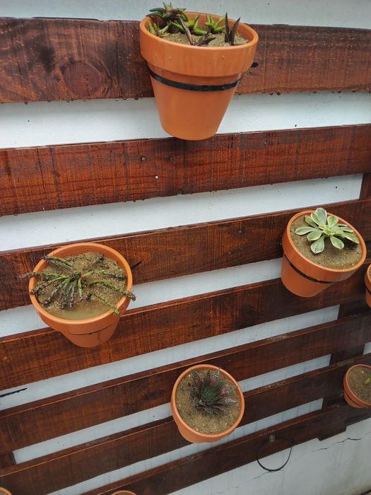 Suporte de vasos em macramé com vaso e suculenta