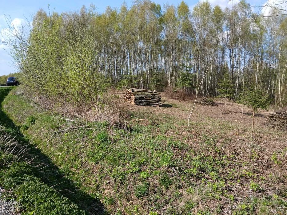 Na sprzedaż działka z warunkami zabudowy, Gębiczyna, powiat dębicki - Widok 2