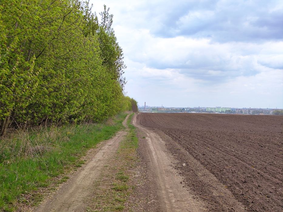 Фото ділянки