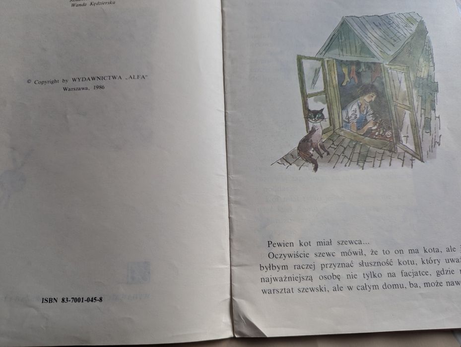 Prawdziwa historia o koncie w butach, Szancer