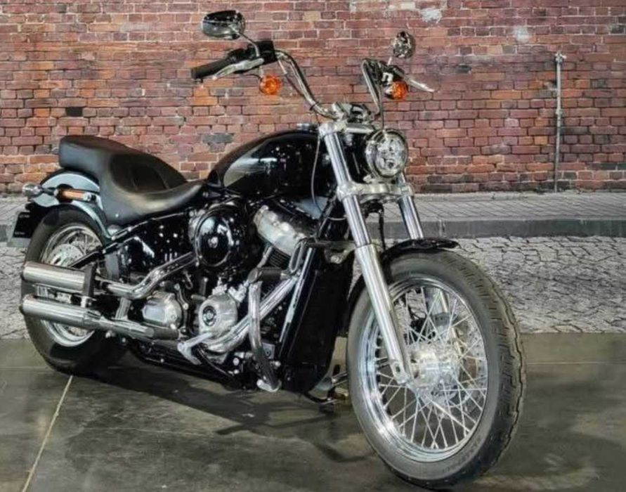 Harley Davidson softail