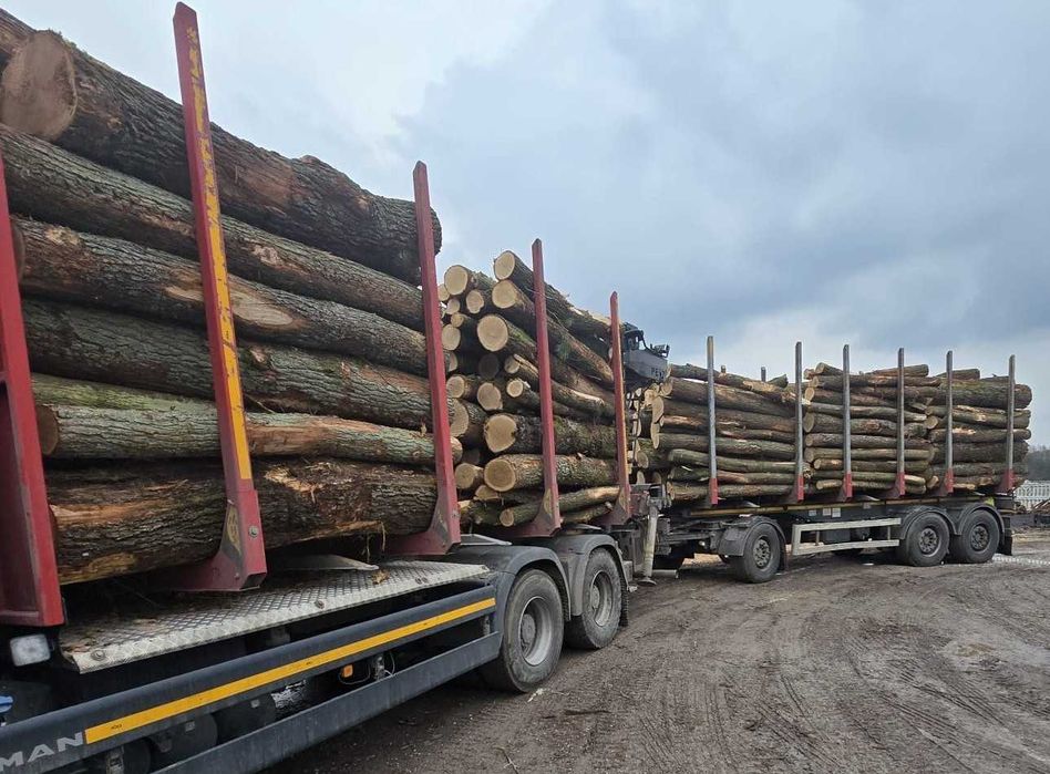 DĄB, BUK, GRAB, BRZOZA - piękne drewno opałowe kominkowe, 2,5m OKAZJA!