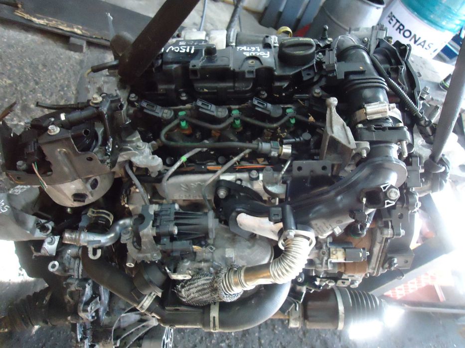 Motor Ford 1.6 Tdci 115cv (T1DB)