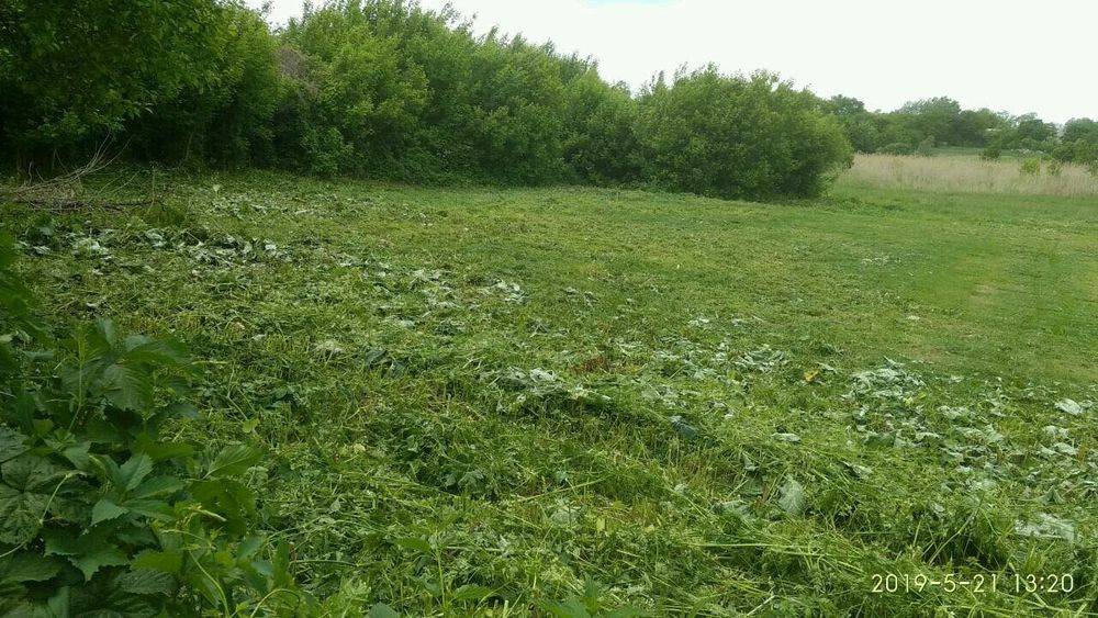 Приватизована ділянка 20 соток