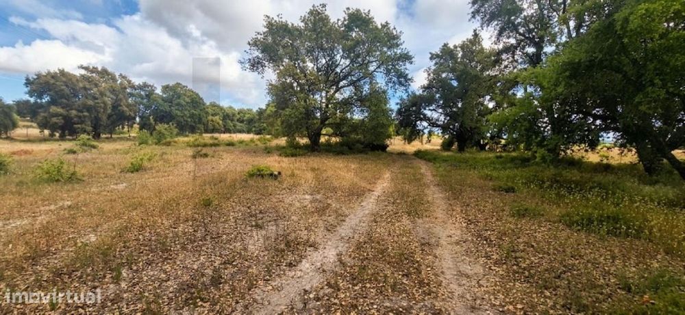 Oportunidade Única De Retiro Natural Na Carrasqueira, Quinta Do Anjo