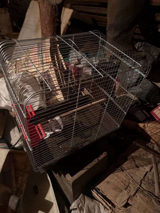 Продам клітку доя тварин