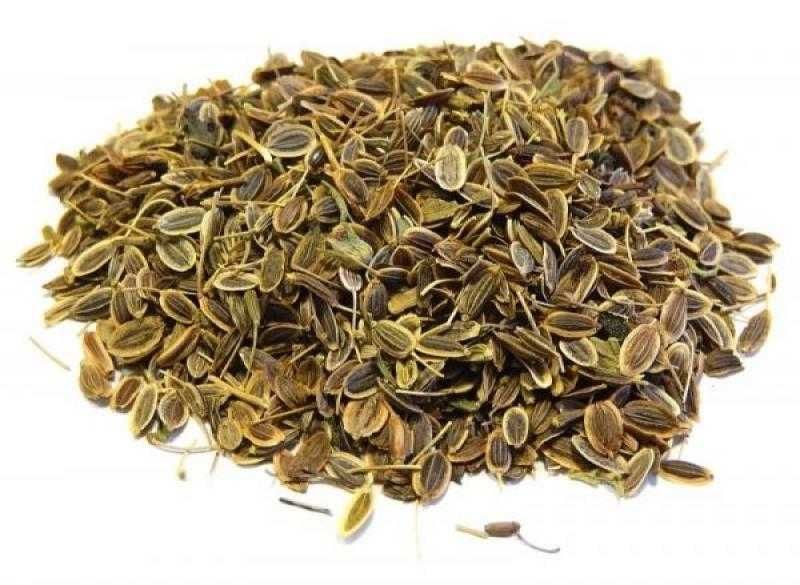 Насіння  кропу елітні сорта.ВГ Україна, врожая 2025року. Очищення 99%.