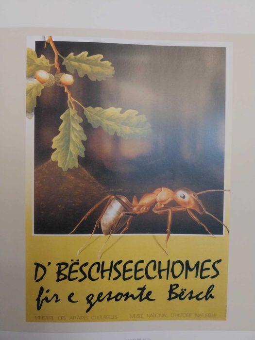 Florestas em cartaz. Álbum de cartazes editados em mais de 40 países.