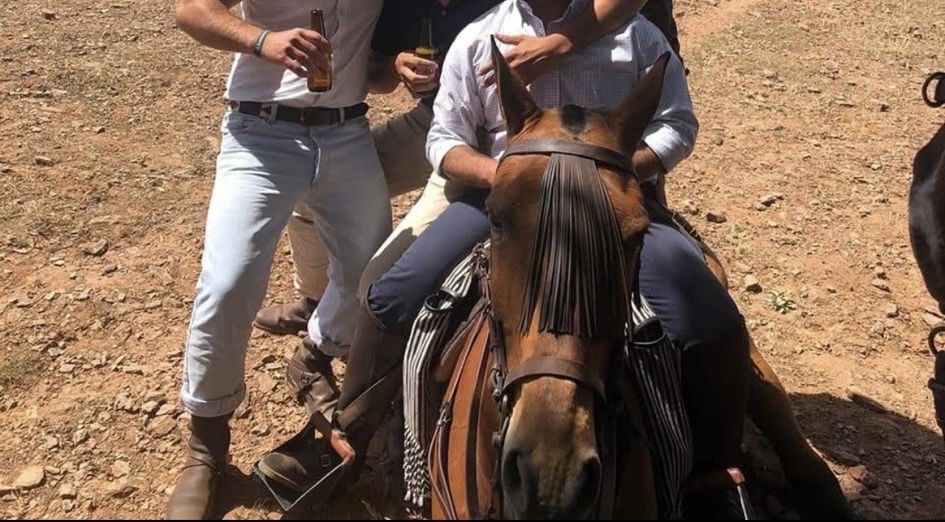 Cavalo Capado Proprio para Crianças