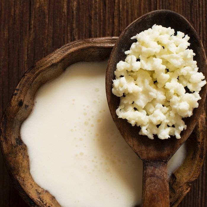 Ofereço Kefir de Leite Probiótico