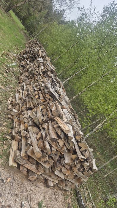 Sprzedaż Drewna opałowego.