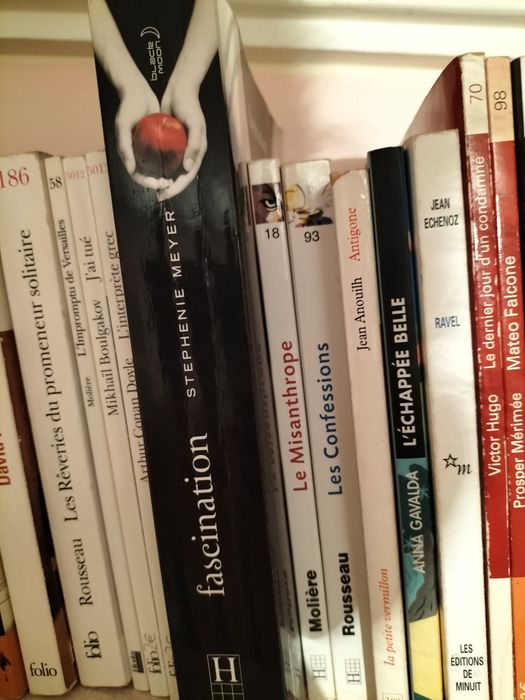 Vários livros em português e francês