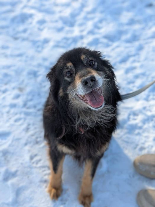 Puszysty Frodo wypatruje swojej rodziny!