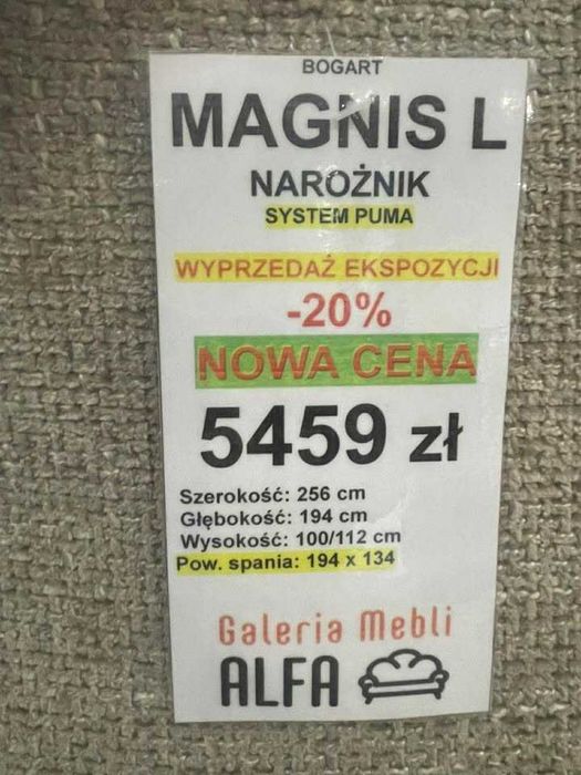 Bogart Magnis L - wyprzedaż ekspozycji