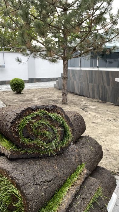 Рулонный газон / АВТОПОЛИВ | Газон Полив под ключ Одесса