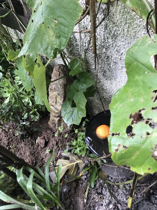 Esculturas em pedra muito bonitas para decoração