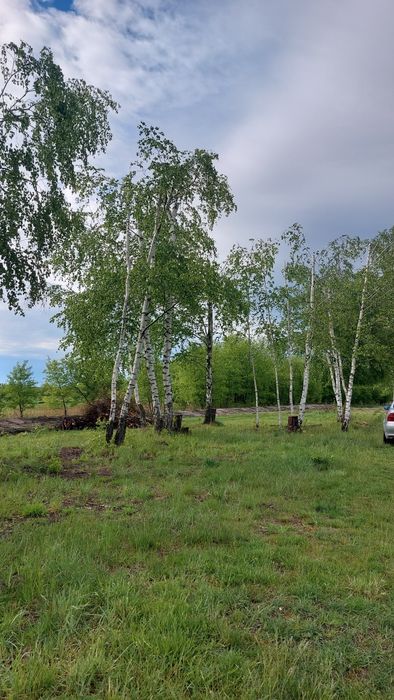 Działka budowlana 8 arów (800m2) Nowa Dęba, media na działce