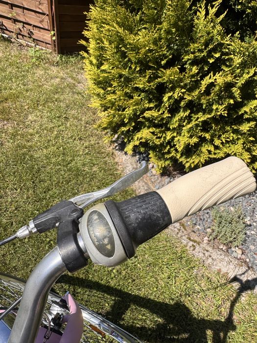 Rower damka pegasus shimano nexus