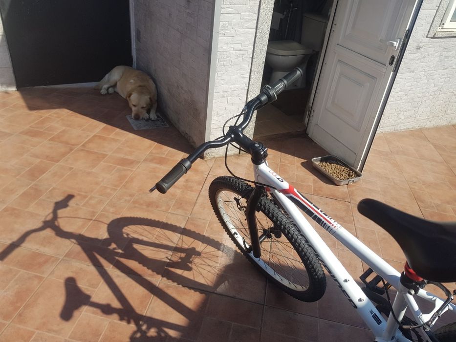 Bicicleta rockrider roda 24 impecável
