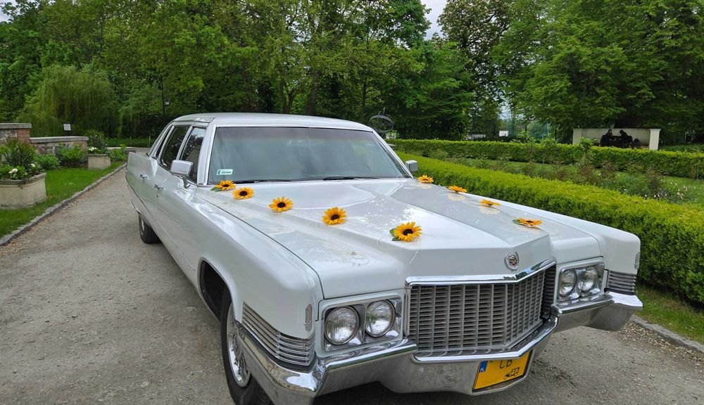 CADILLAC FLEETWOOD | Auto do ślubu wesele Bydgoszcz Toruń Nakło Szubin