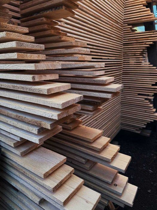 Вагонка смерека (карпатська ялинка)