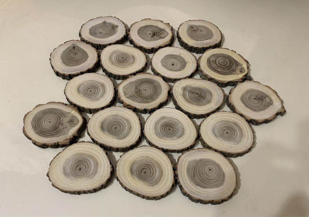 Зріз дерево акація, декор, спил