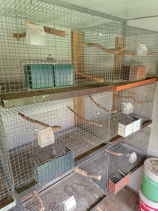 Gaiolas de criação